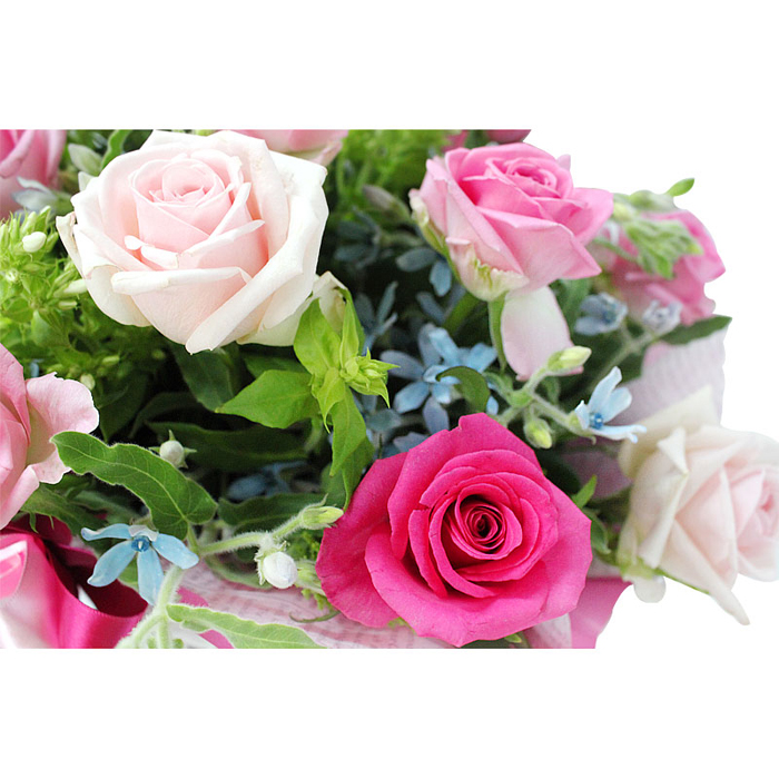 러블리 상세이미지 3