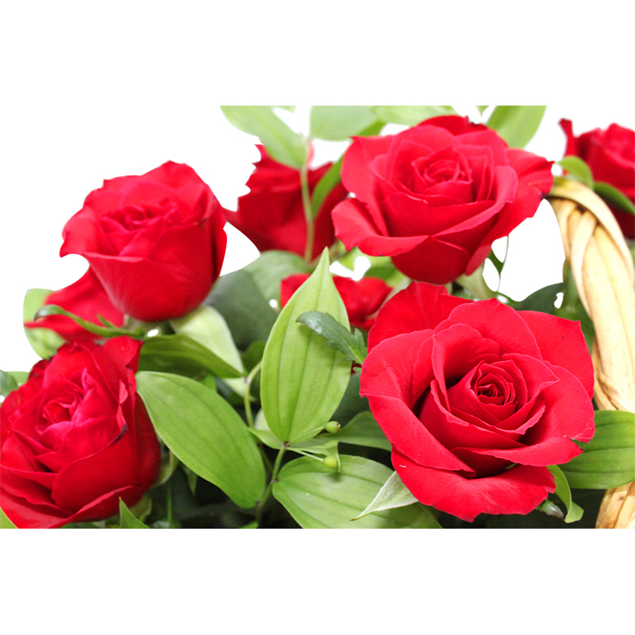 레드와인 상세이미지 3