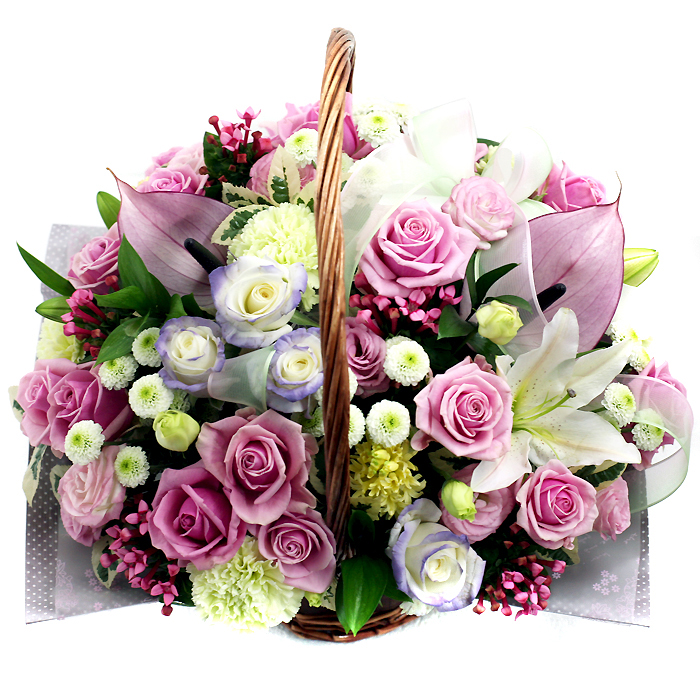 로맨시스트 상세이미지 2