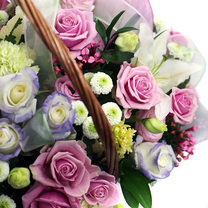 로맨시스트 상세이미지 3