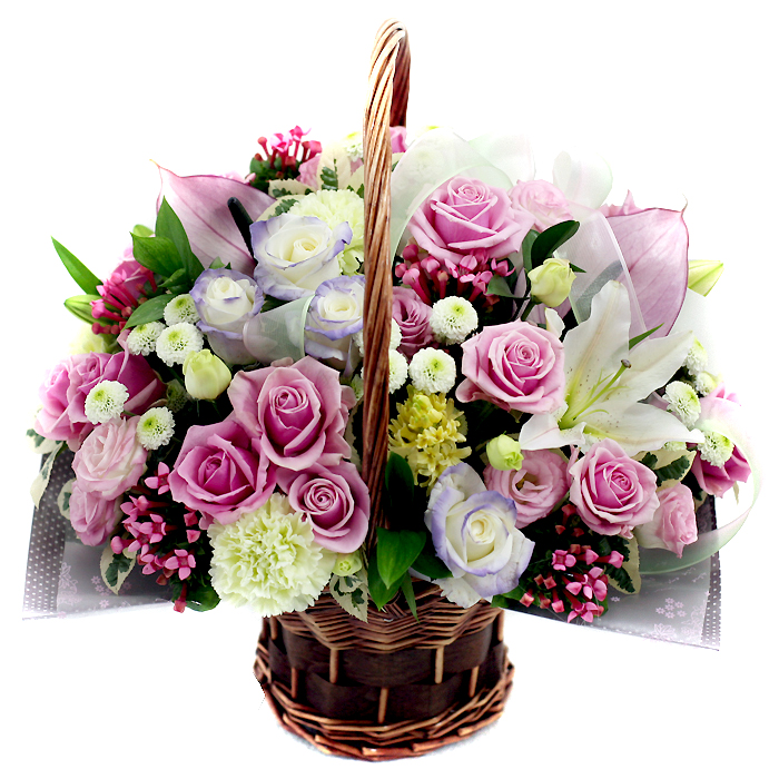 로맨시스트 상세이미지 4